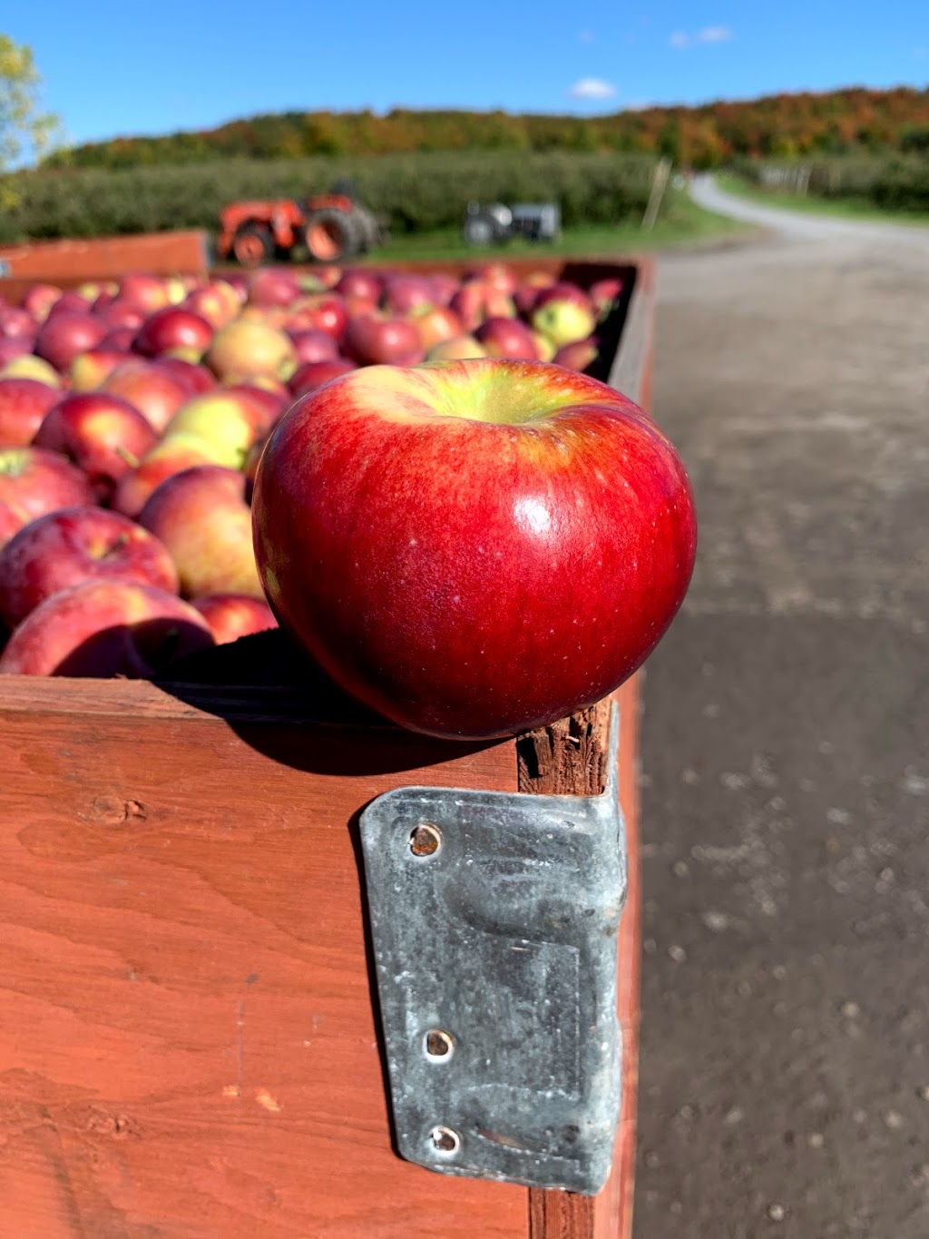 Ferme au Pic Enr | 4551 Chemin Godbout, Dunham, QC J0E 1M0, Canada | Phone: (450) 295-2306
