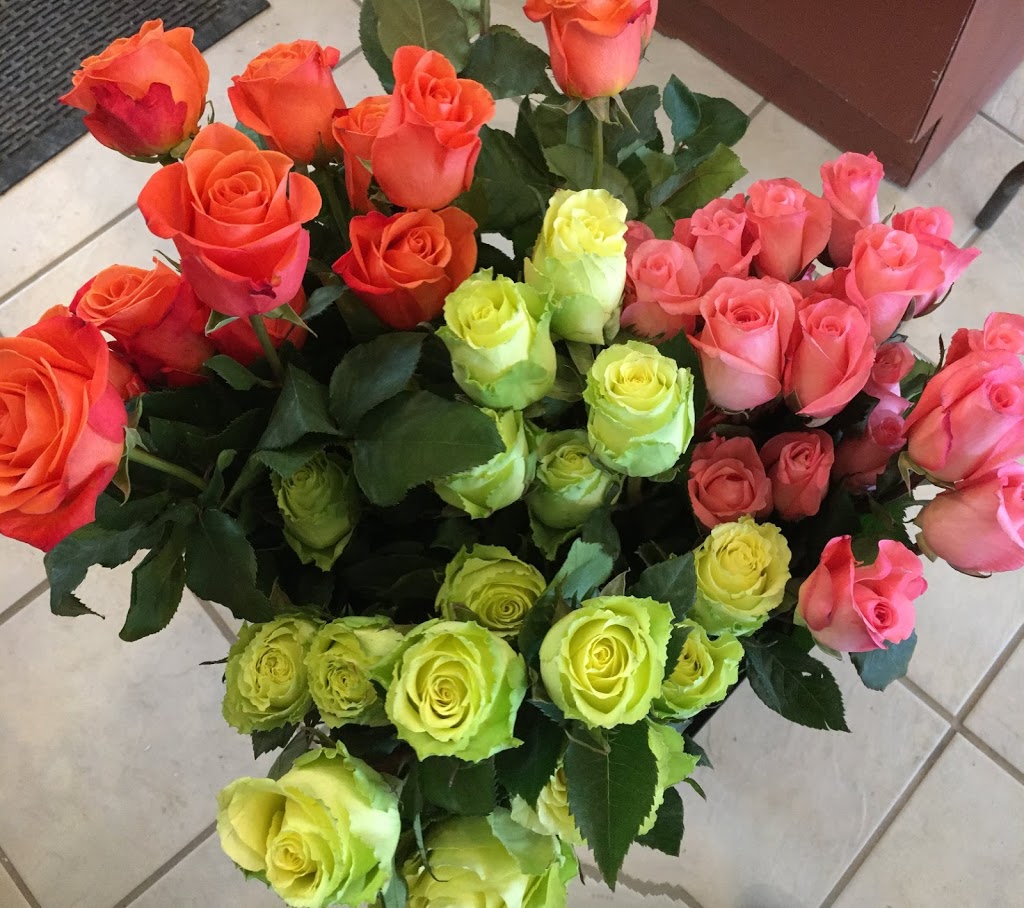 Scotts Garden Centre | 254 Coldwater Rd W, Orillia, ON L3V 3M3, Canada | Phone: (705) 325-2909