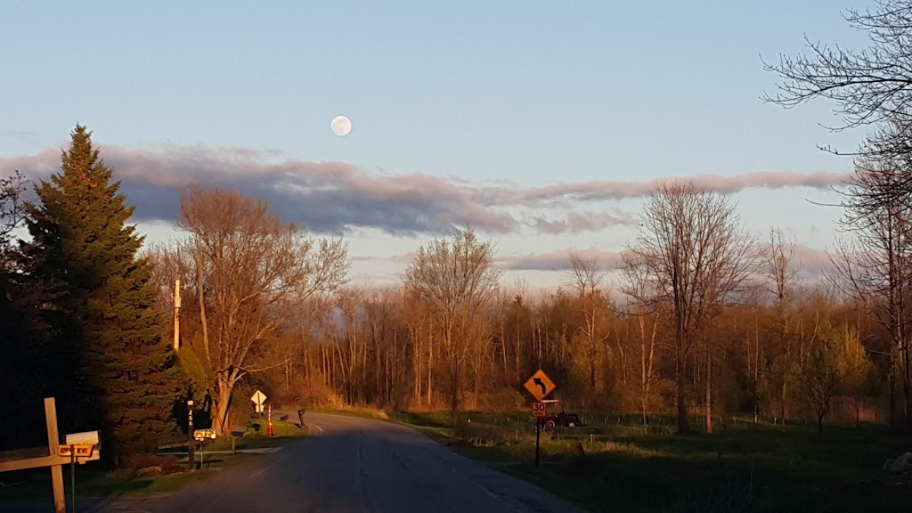 Wilson Hill Wildlife Management Area | Massena, NY 13662, USA