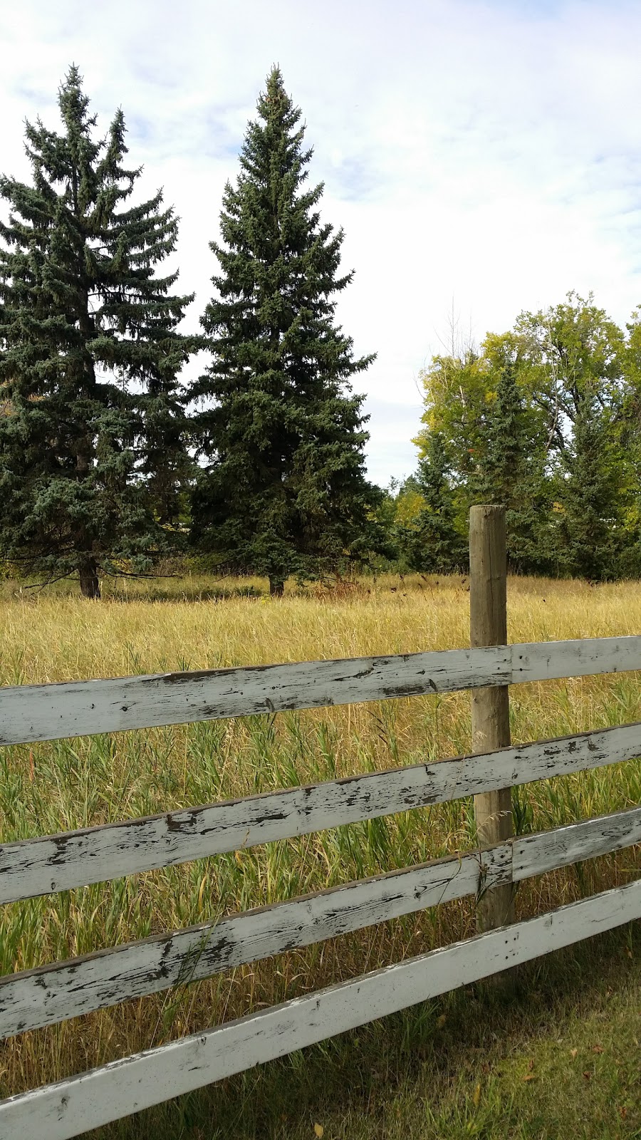 University of Alberta South Campus | 11610 65 Ave NW, Edmonton, AB T6H 2V8, Canada | Phone: (780) 492-1000
