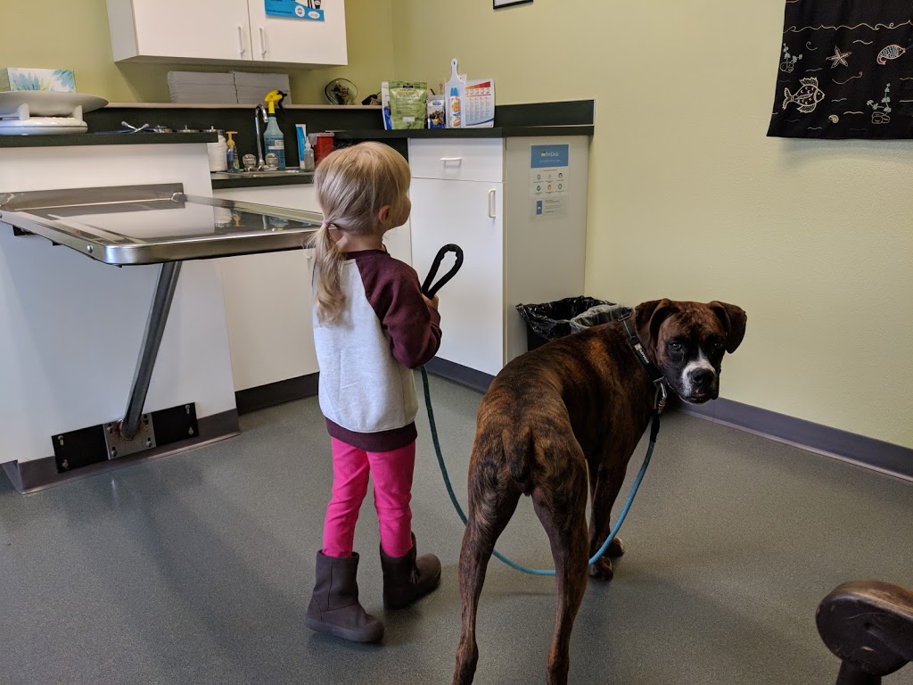 Maplewood Animal Hospital | 2869 W Maplewood Ave, Bellingham, WA 98225, USA | Phone: (360) 715-1430