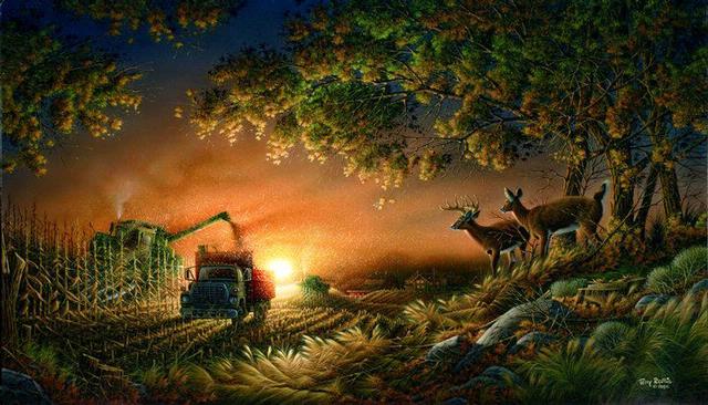 Whitetails Crossing Outdoors | 28 Evergreen Crescent, Wasaga Beach, ON L9Z 1B6, Canada | Phone: (705) 441-7373