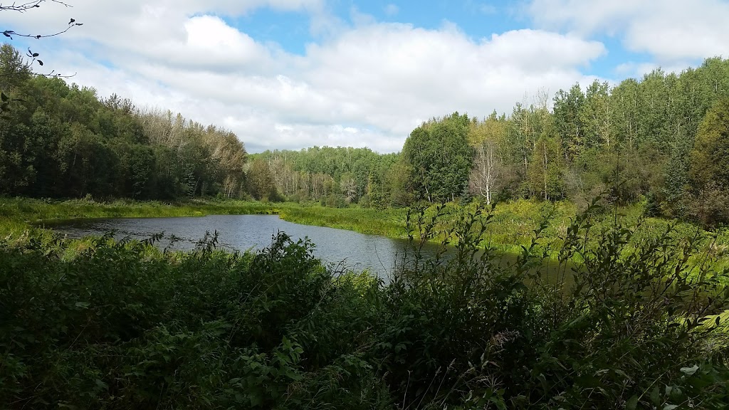 Chicakoo Lake Recreation Area | Range Rd 13, Onoway, AB T0E 1V0, Canada