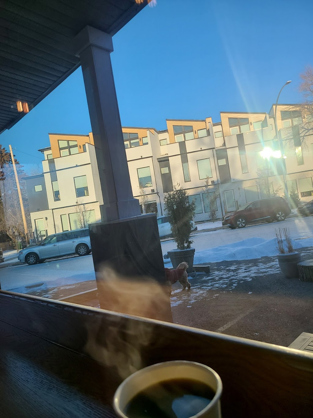 Stoop Cafe | 1027 Russet Rd NE, Calgary, AB T2E 5L2, Canada | Phone: (825) 408-0303