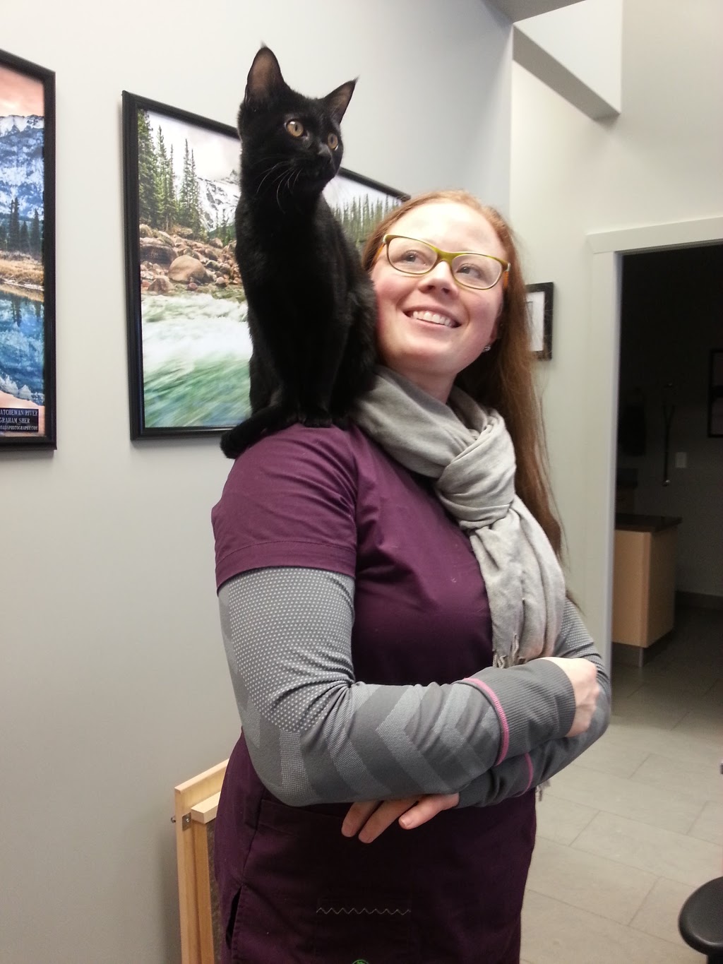 Okotoks Veterinary Clinic | 105 Southbank Blvd #203, Okotoks, AB T1S 0G1, Canada | Phone: (403) 995-9700