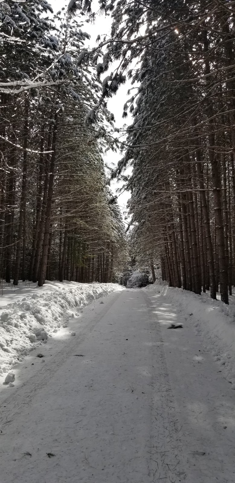 Dunwurkn Farms Maple Camp | Hoddinott Ln, Balderson, ON K0G 1A0, Canada | Phone: (613) 836-1291