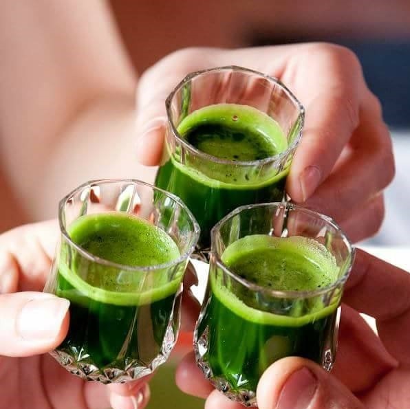 Herbe de blé Univert inc. | 201 Rue Marcel, Saint-Cuthbert, QC J0K 2C0, Canada | Phone: (450) 803-8042
