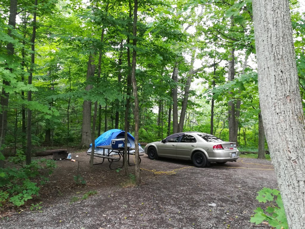 Bronte Creek Provincial Park (camping area) | 3201 Upper Middle Rd W, Oakville, ON L6M 4G5, Canada | Phone: (905) 827-6911