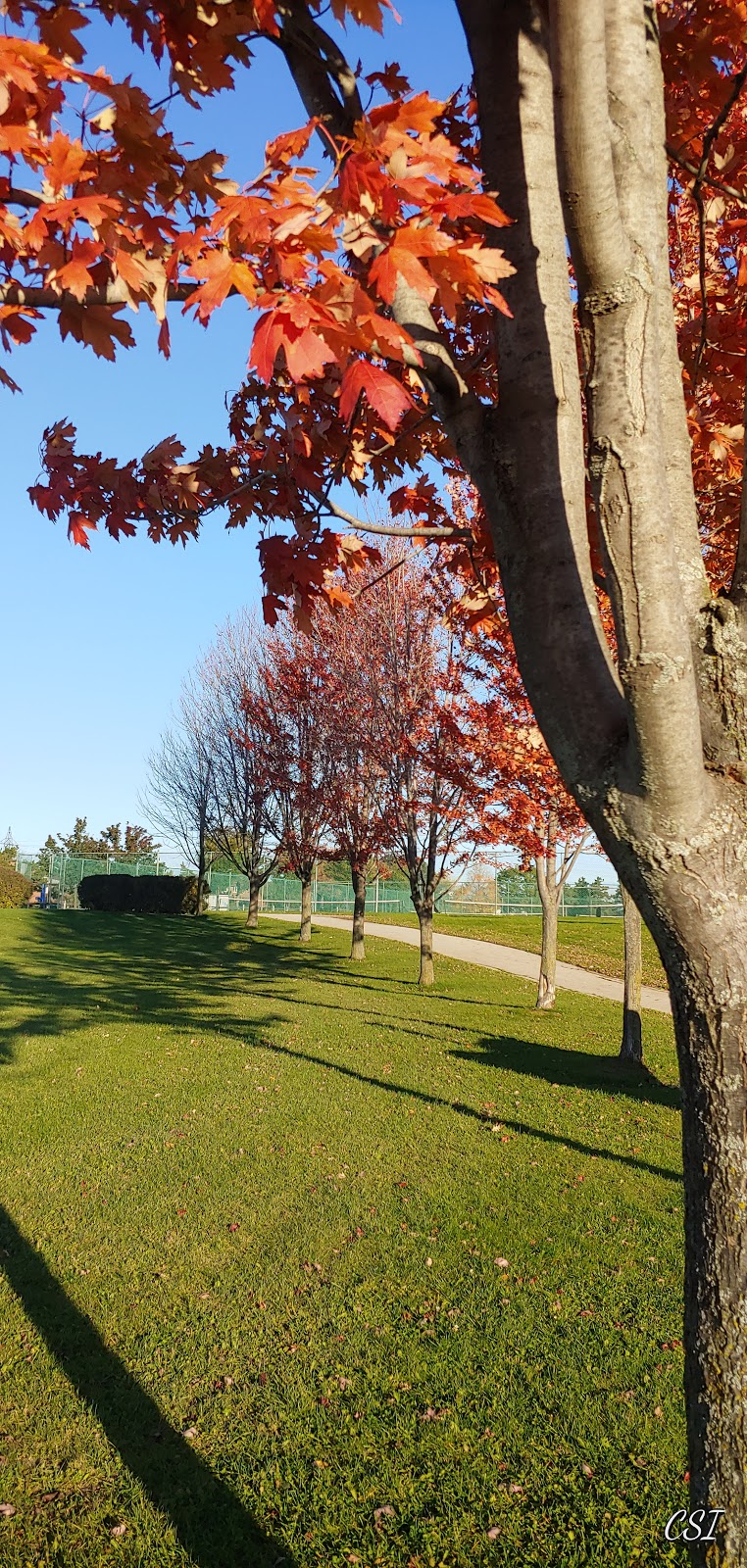 Shawnee Park | 81 Shawnee Cir, North York, ON M2H 2X8, Canada