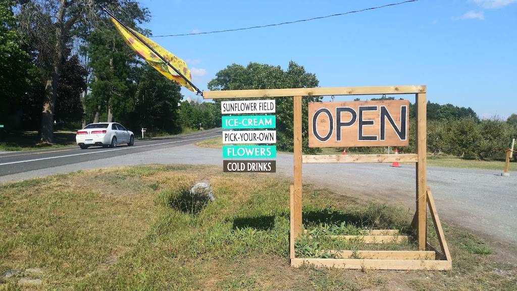 Wynn Farms (Flowers and Sunflowers) | 9592 Loyalist Pkwy, Greater Napanee, ON K7R 3K7, Canada | Phone: (613) 881-0303