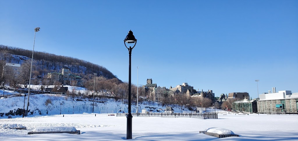 R Ross | 687 Av. des Pins, Montréal, QC H3A 1A1, Canada | Phone: (514) 934-1934