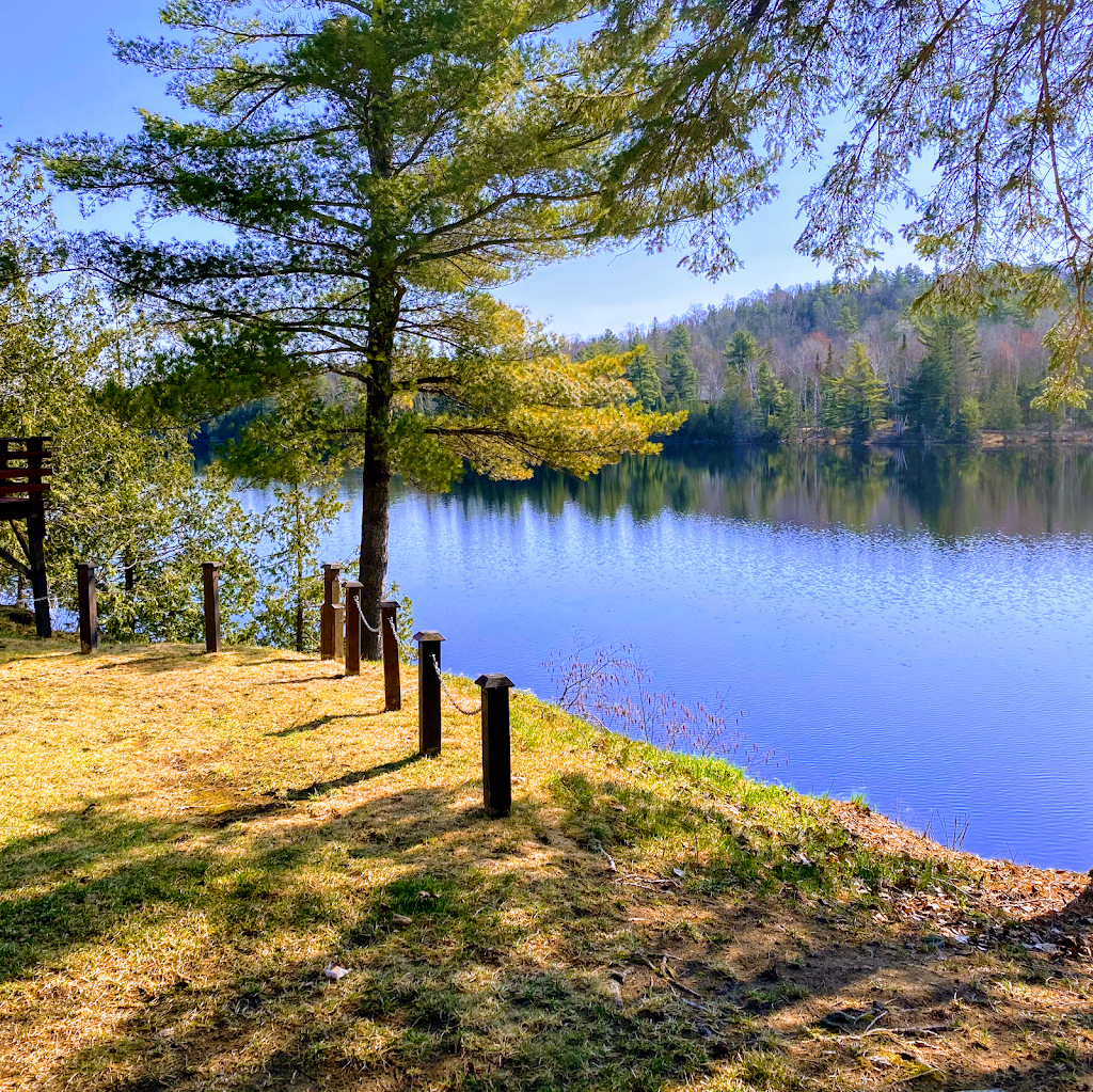 Devils Elbow Lodge | 1148 McCaw Rd, Bancroft, ON K0L 1C0, Canada | Phone: (613) 334-0500
