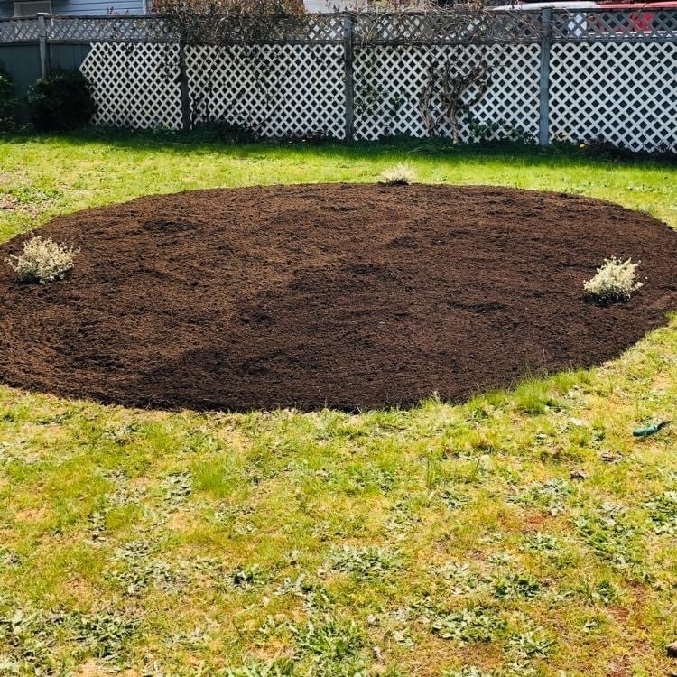 Rise & Shine Excavating/Landscaping | 8373 N Island Hwy, Black Creek, BC V9J 1H2, Canada | Phone: (250) 702-7935