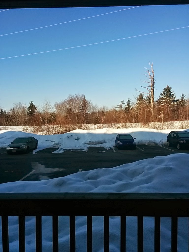 Glenbourne Gardens | 680 Parkland Dr, Halifax, NS B3S 1M5, Canada | Phone: (902) 406-2014