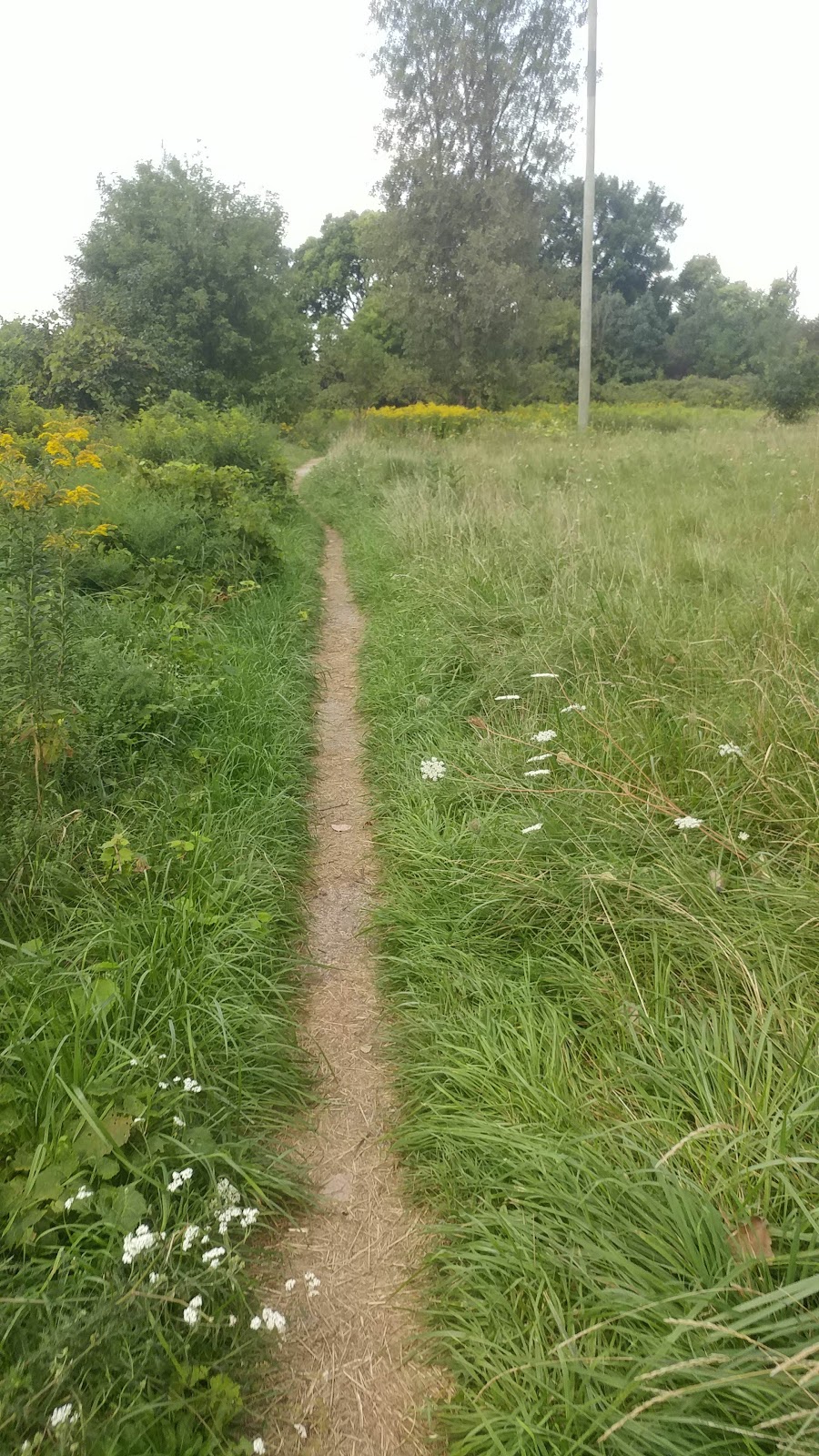 Kilally Meadows - Environmently Significant Area | 5V3, 17-29 Edgevalley Rd, London, ON N5Y 6L5, Canada