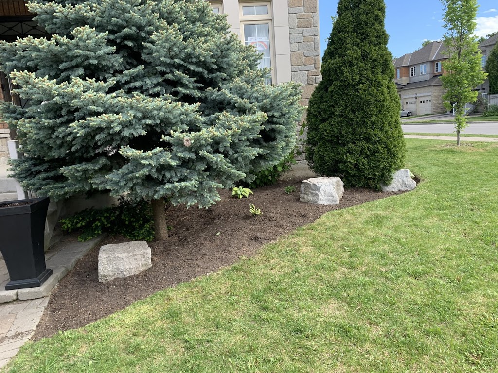 Noahs lawn care | Chardonnay Dr, Vaughan, ON L4J 8S4, Canada | Phone: (416) 357-0225