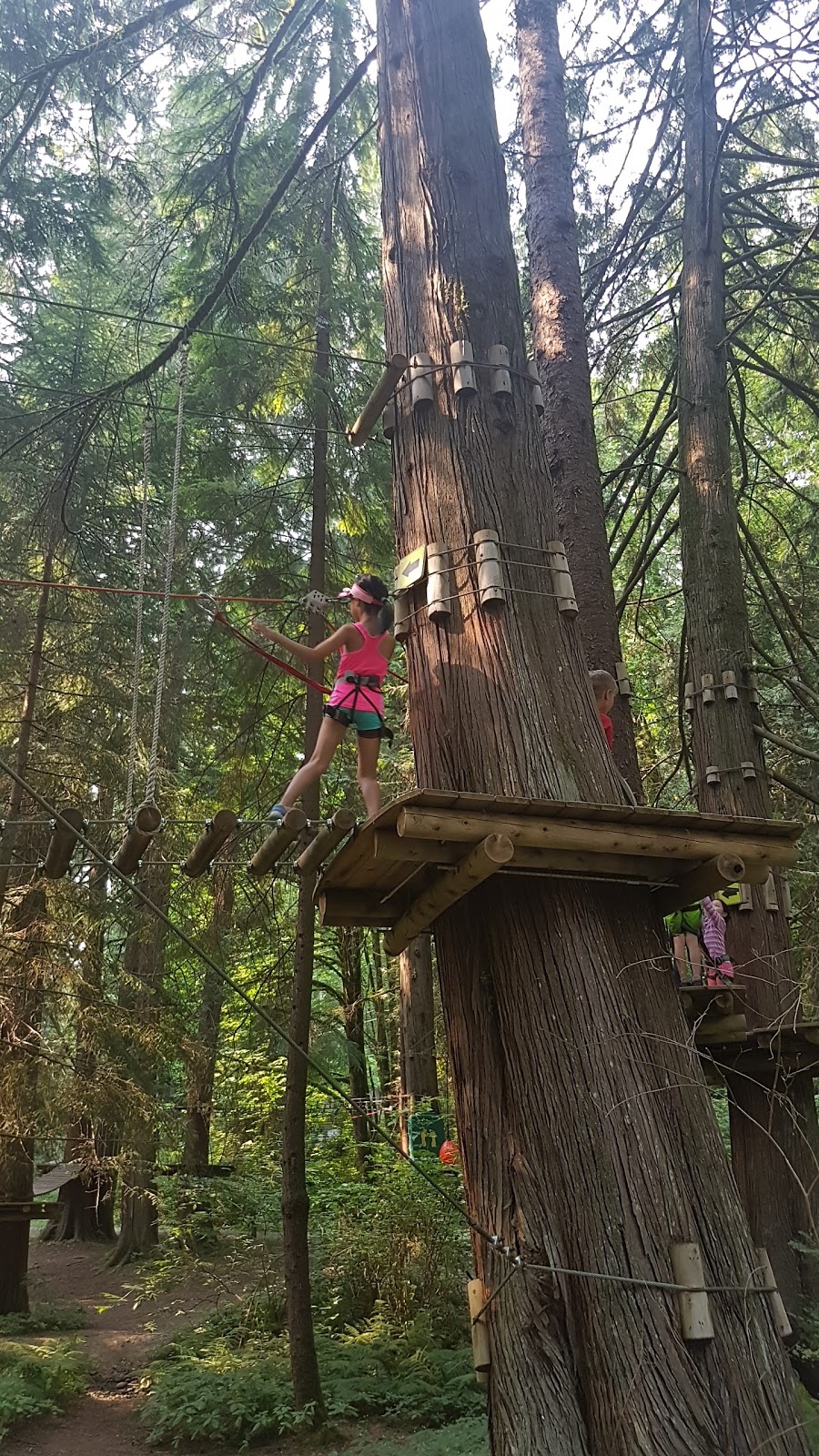 WildPlay Element Parks Maple Ridge | 23485 Fern Crescent, Maple Ridge, BC V4R 2S6, Canada | Phone: (855) 595-2251