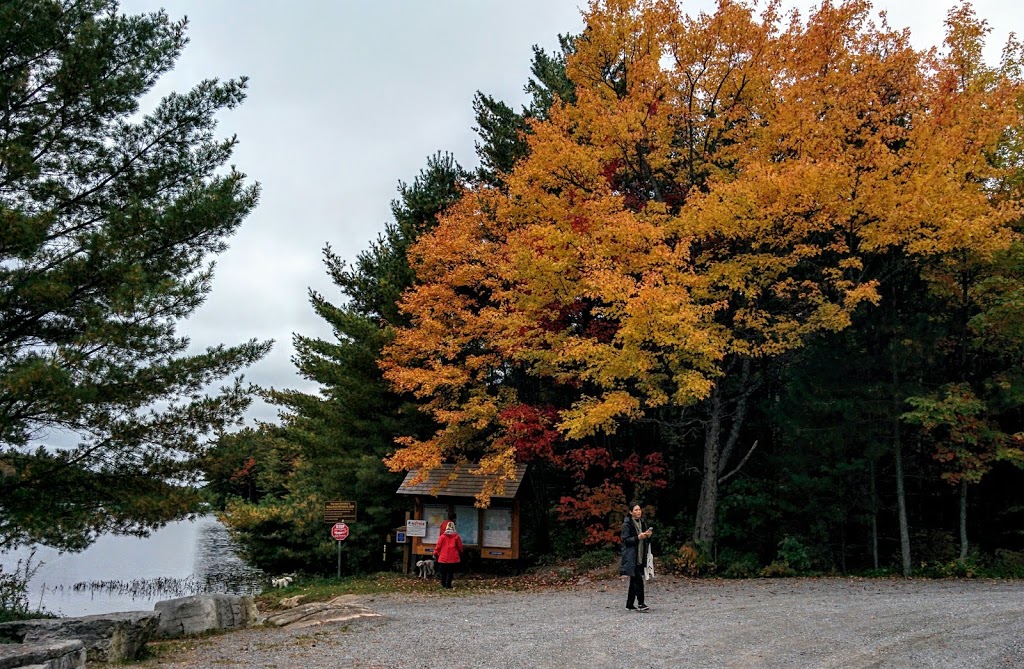 Wolf Lake Access #4, Kawartha Highlands Provincial Park | 854-, 1122 Anstruther Lake Rd, Harcourt, ON K0L, Canada | Phone: (613) 332-3940 ext. 261