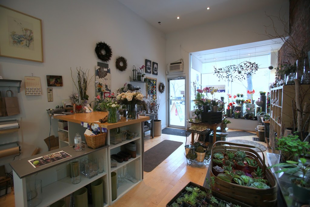i fiori | 140 James St N, Hamilton, ON L8R 2K6, Canada | Phone: (905) 962-4750