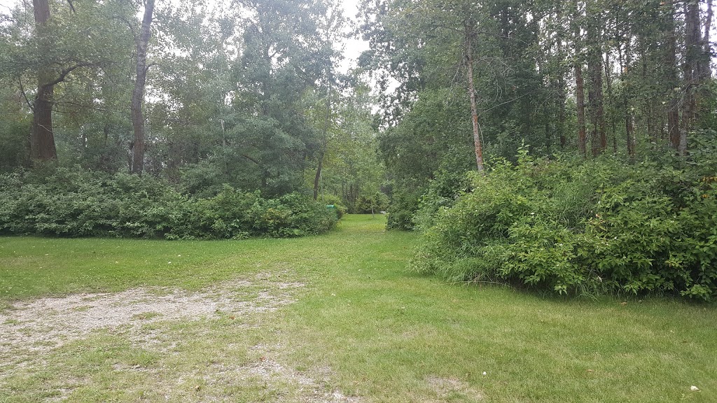 Hasse Lake Regional Park | Hasse Rd, Carvel, AB T0E 0H0, Canada