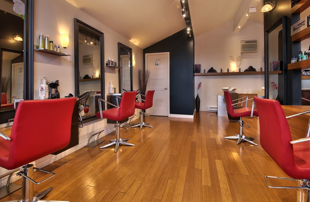 Santé du Cheveu | 695 Boulevard Adolphe-Chapleau, Bois-des-Filion, QC J6Z 1L6, Canada | Phone: (450) 621-2599