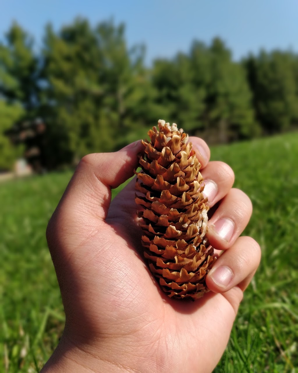 Klondike Road Park | 1365 Halton Terrace, Kanata, ON K2K 3B5, Canada