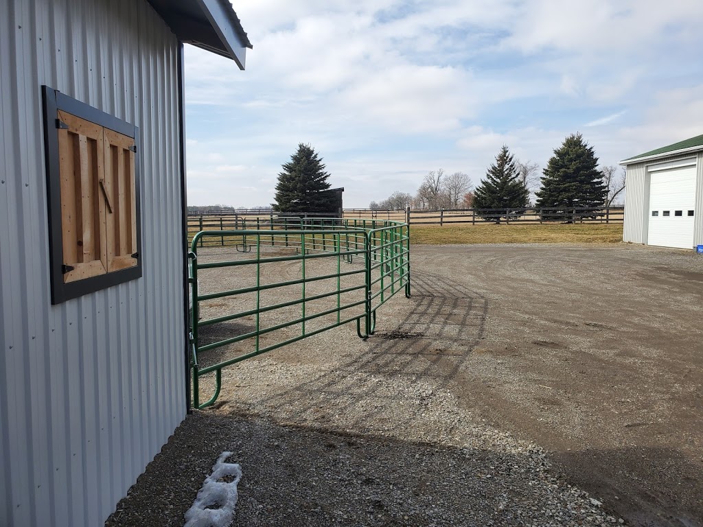Snowy River Stables | 273 W River Rd, Paris, ON N3L 3E2, Canada | Phone: (519) 504-5484