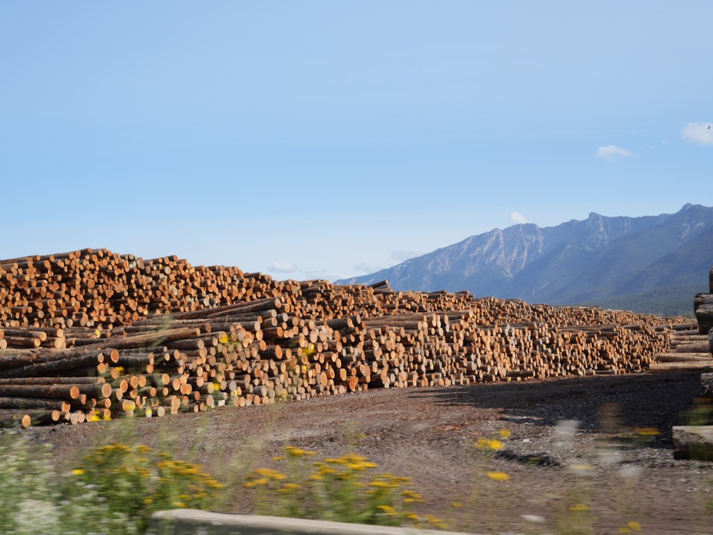 Canfor - Radium | 4685 Forsters Landing Rd, Radium Hot Springs, BC V0A 1M0, Canada | Phone: (250) 347-9611