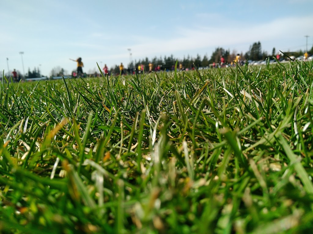Phillips 66 Soccer Field | 5238 Northwest Dr, Bellingham, WA 98226, USA