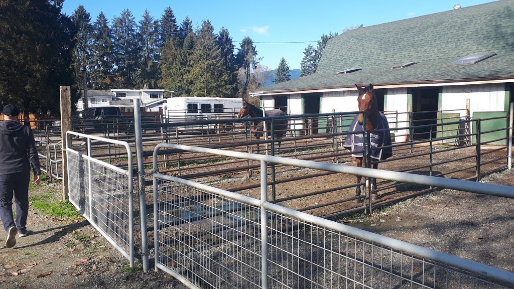Northside Stable | 1136 Devon Rd, Coquitlam, BC V3E 3H8, Canada | Phone: (604) 765-3671