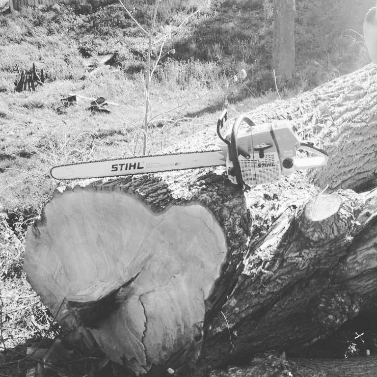 Amazing Tree Trimming Services Inc | 700 ON-6, Caledonia, ON N3W 1M6, Canada | Phone: (905) 630-4177