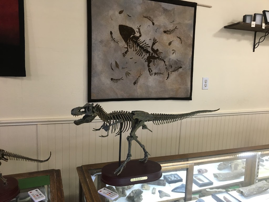 Broken Rock Fossil Shop | 1820 Garfield Rd, Belfast, PE C0A 1A0, Canada | Phone: (902) 393-2536