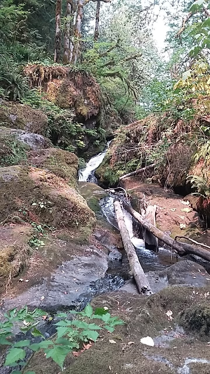 Maple Creek Park Maple Falls-Glacier Trail | 7836-7856 Silver Lake Rd, Maple Falls, WA 98266, USA | Phone: (360) 599-1518