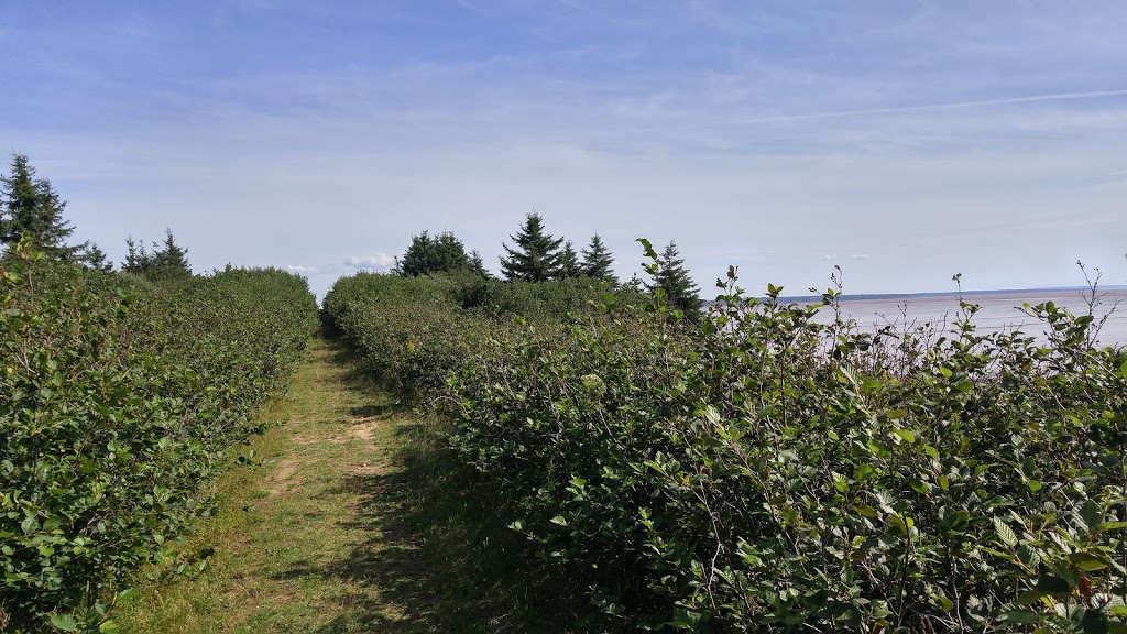 Fundy Biosphere Reserve | NB-935, Johnsons Mills, NB E4K 3N7, Canada | Phone: (506) 874-3272