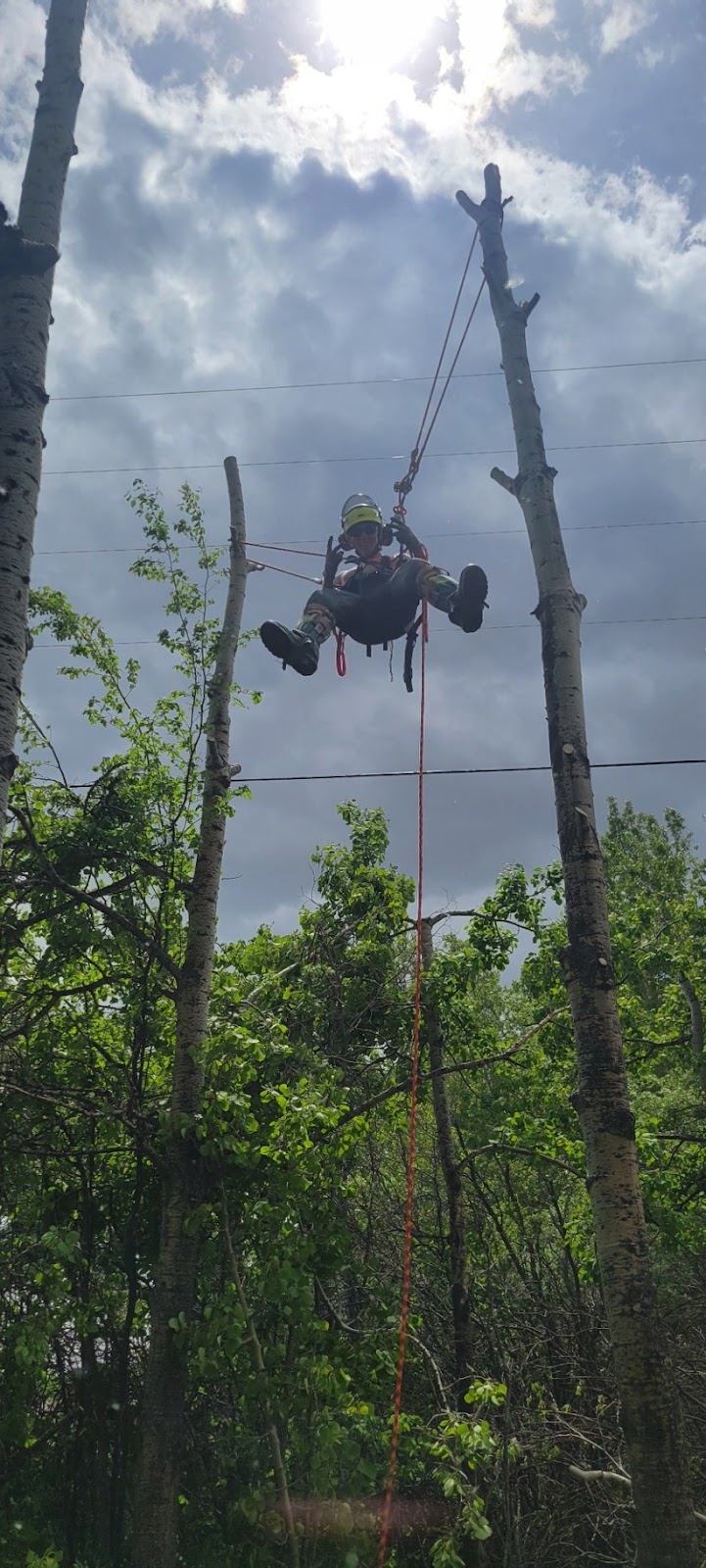 Nordic Tree Care | 13 Ken Richie Way, Canmore, AB T1W 2T5, Canada | Phone: (250) 462-6551