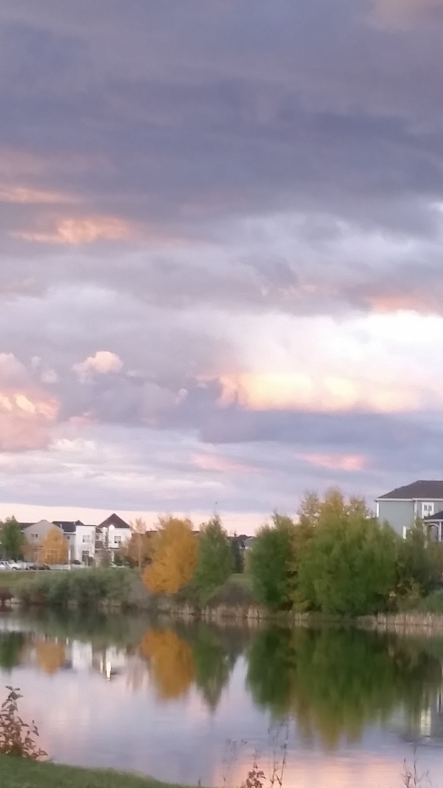 Pirate Park | 6 Elgin Terrace, Calgary, AB T2Z 4B7, Canada
