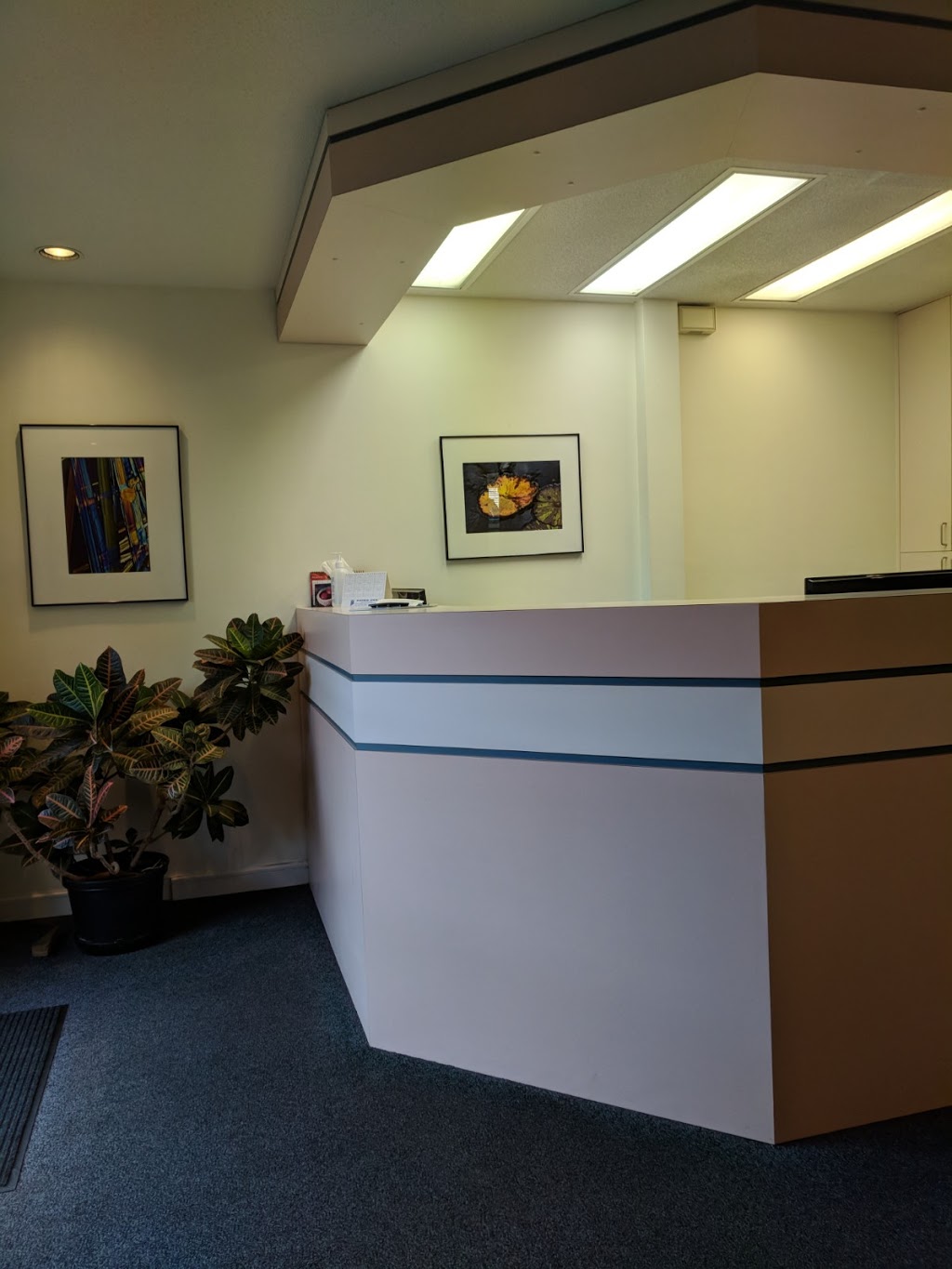 Bild Bernard Dr | 1750 Richmond Ave, Victoria, BC V8R 4P8, Canada | Phone: (250) 595-6125