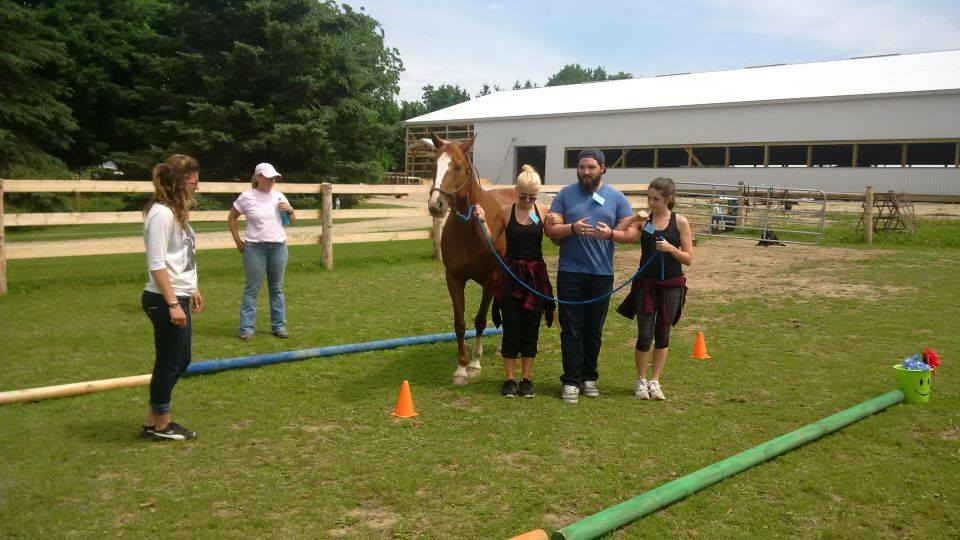 Leading Edge Equine Academy | 515588 11 Line, Woodstock, ON N4S 7V7, Canada | Phone: (226) 749-4830