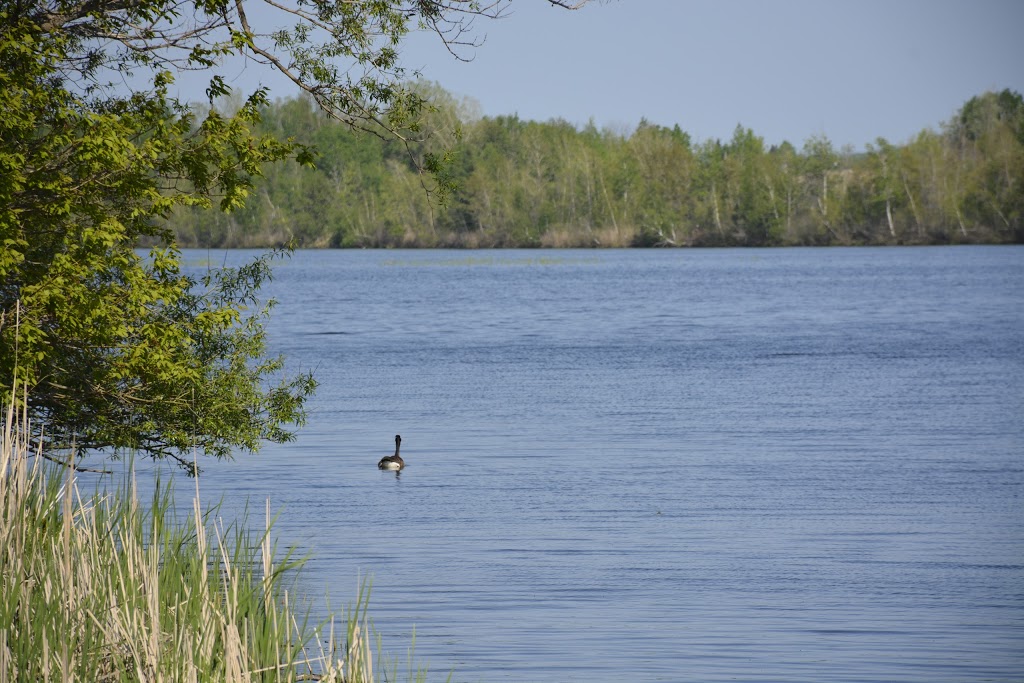 Parc Daniel-Johnson | 230 Rue Drummond, Granby, QC J2G 2S3, Canada | Phone: (450) 375-5696