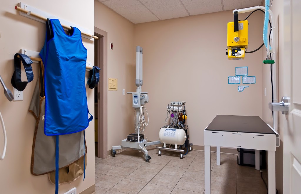 Warman Veterinary Clinic | 100A Crystal Springs Dr, Warman, SK S0K 0A1, Canada | Phone: (306) 933-3235