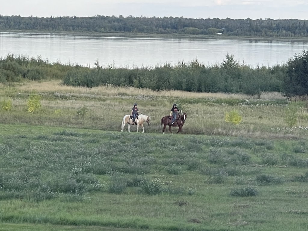 Amethyst Equine Connections | 51341 Range Rd 210, Sherwood Park, AB T8G 1G1, Canada | Phone: (780) 686-3423