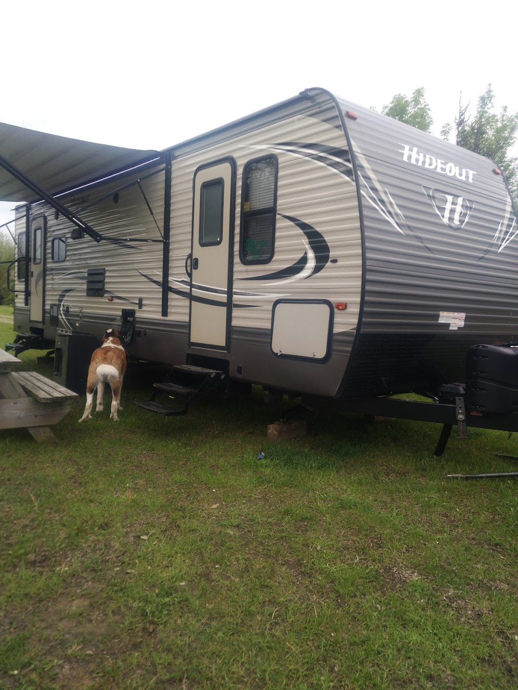 Preston Springs Park | 1455 Asphodel 10th Line, Norwood, ON K0L 2V0, Canada | Phone: (705) 696-2268