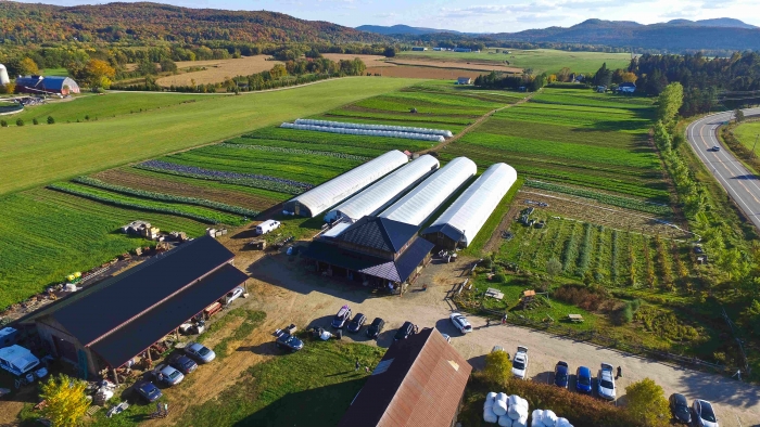 Ferme aux petits oignons | 515 Chemin de Brébeuf, Mont-Tremblant, QC J8E 2E1, Canada | Phone: (819) 681-7303