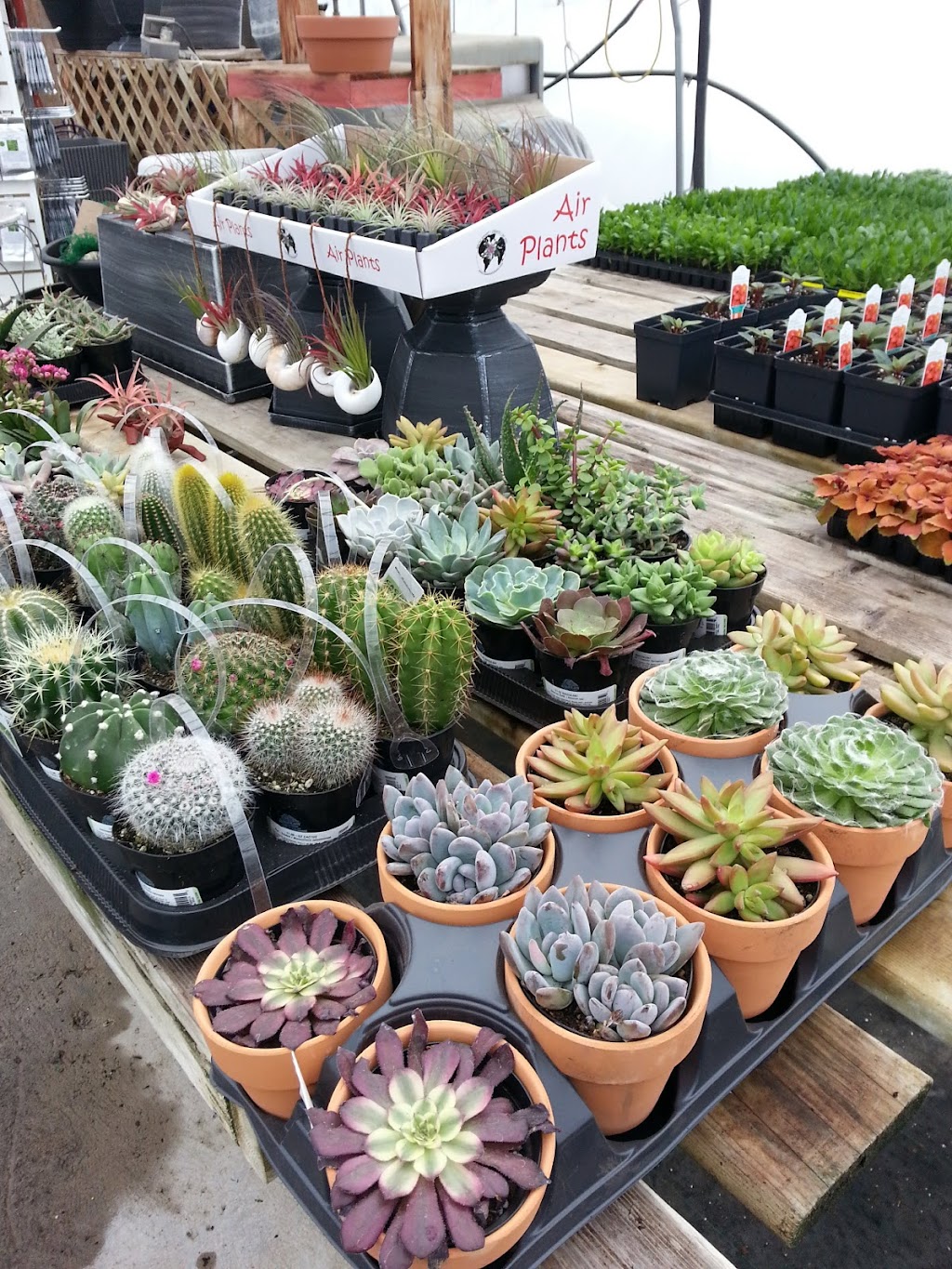Fernie Garden Centre | 6283 Olivia Rd, Fernie, BC V0B 1M5, Canada | Phone: (250) 423-3666