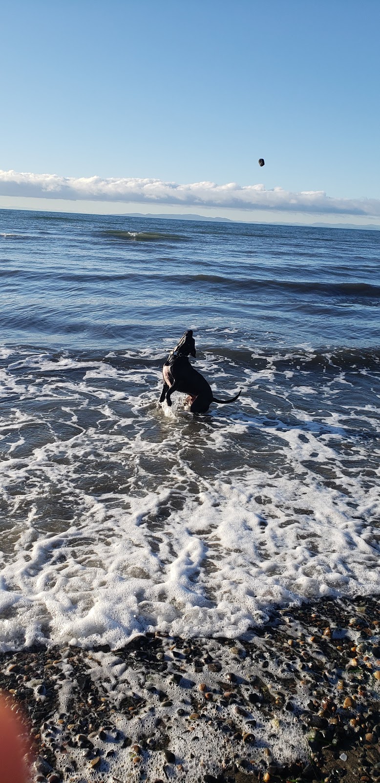 Dog Friendly Beachside Park | 15782 Marine Dr, White Rock, BC V4B 1E6, Canada