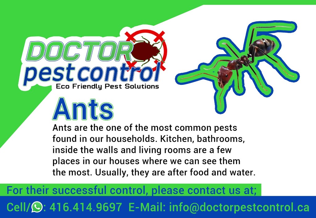 Doctor Pest Control | 4950 Albina Way #08, Mississauga, ON L4Z 4J4, Canada | Phone: (416) 414-9697