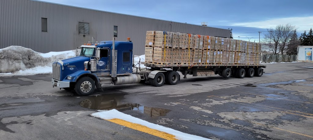 Pollux Transport Inc. | 15180 Hwy 50, Bolton, ON L7E 3E4, Canada | Phone: (647) 607-9870