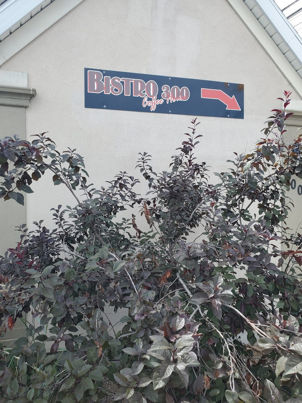 Bistro 300 | 300 Main St, Middleton, NS B0S 1P0, Canada | Phone: (902) 825-6558