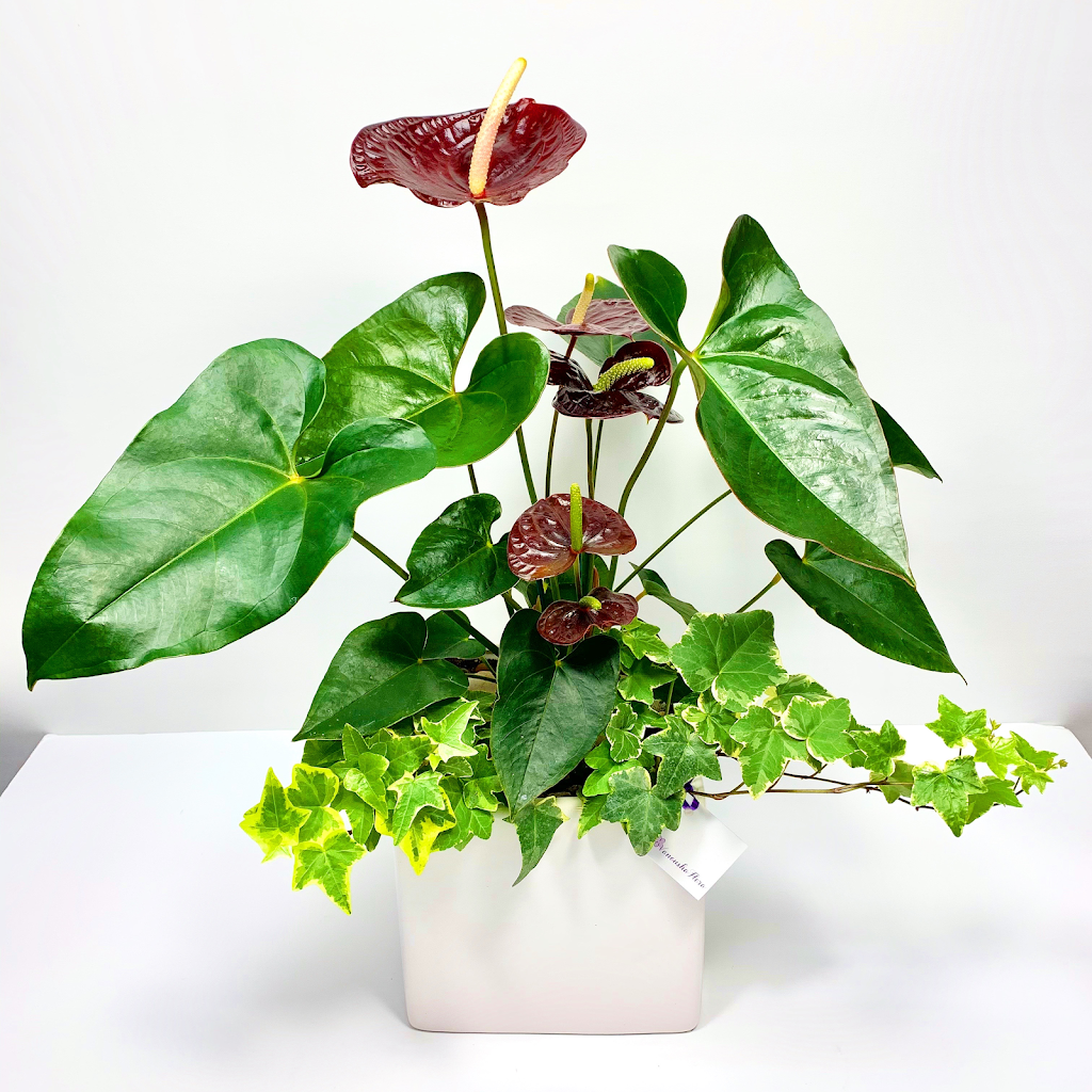 Vanousha Flora | 4364 W 10th Ave, Vancouver, BC V6R 2H7, Canada | Phone: (604) 423-4744