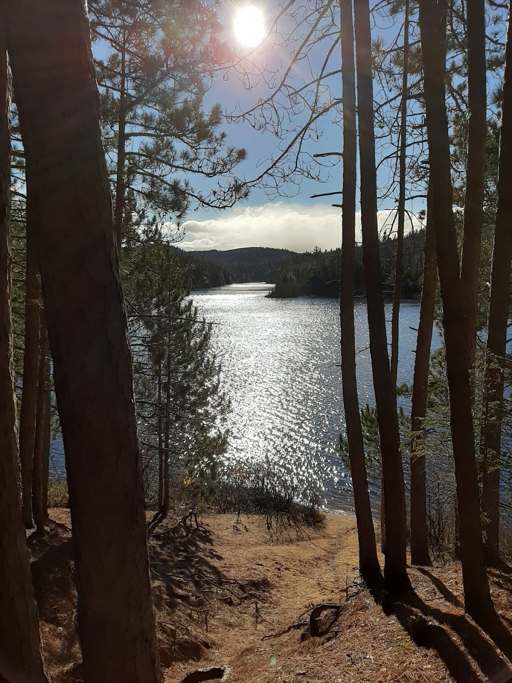 Sepaq. Lac au Sorcier | Saint-Alexis-des-Monts, QC J0K 1V0, Canada | Phone: (819) 265-2098